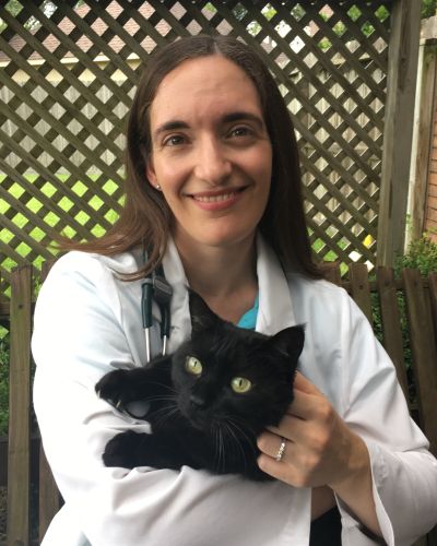 Dr. Kurdziel Dr. Kurdziel