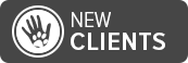 New Clients